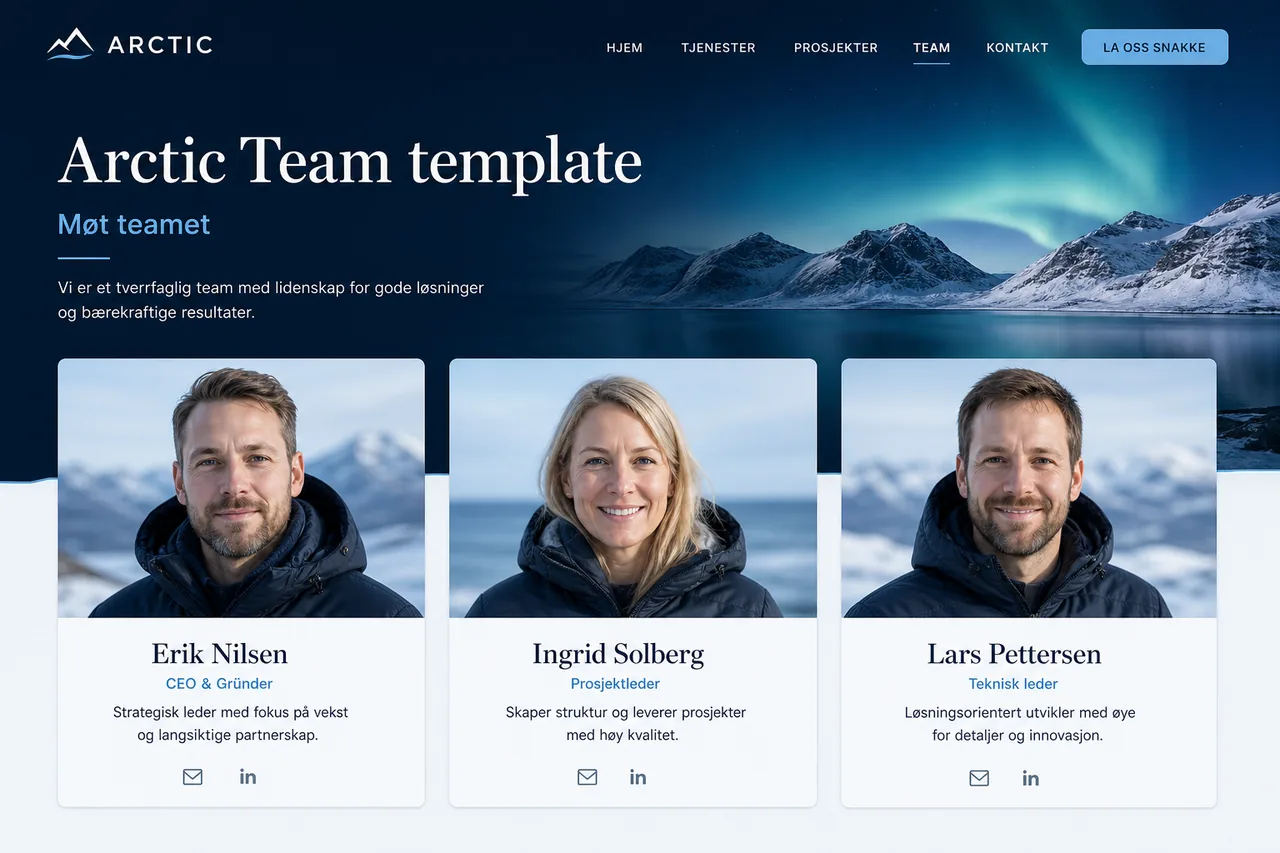 Arctic Team — konsept for teamside